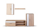 CONJUNTO DE MUEBLES DE SALÓN 